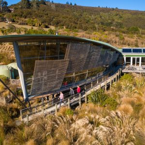 Orokonui Ecosanctuary and Coastal Tour - 6 hours